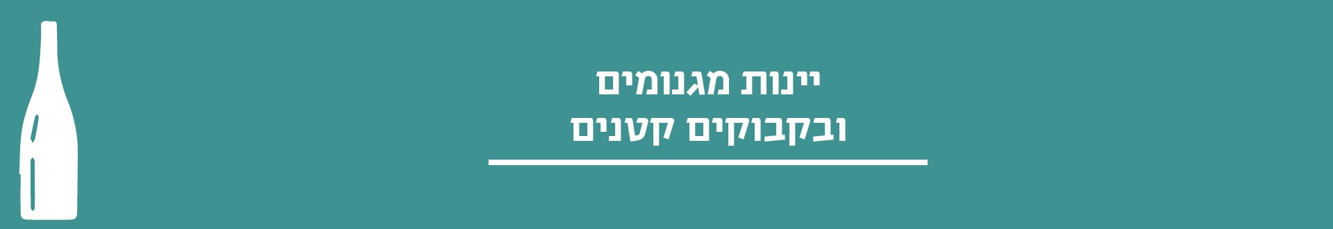 מגנומים ובקבוקים קטנים